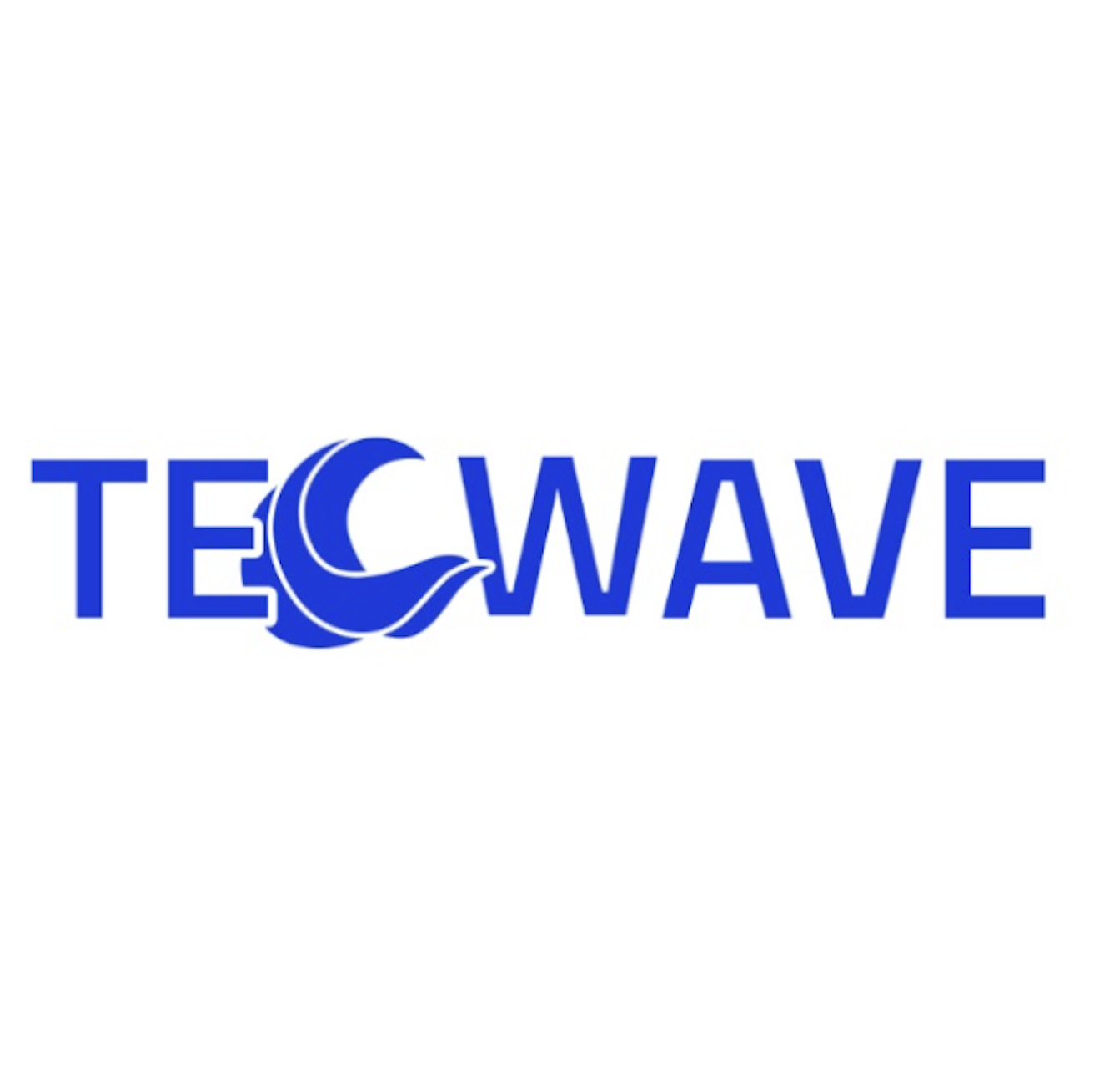 WAVE-DTE Logo